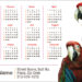 Customized 4x7 inch Veterinary Round Corner Calendar Magnets 20 mil