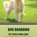 4x7 inch Round Corner Dog Boarding Magnets