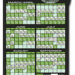 2014 Baseball Schedule Magnets