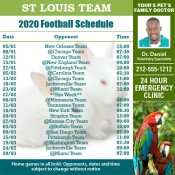 5x5 Custom One Team St Louis Team Football Schedule Veterinary Specialists Magnets 20 Mil Square Corners