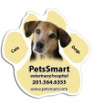 5.75 Inch Custom Paw Shape Pets Care Magnets - Outdoor & Car Magnets 35 Mil